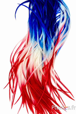 Haan rooster - 25-30 cm - blauw-wit-rood